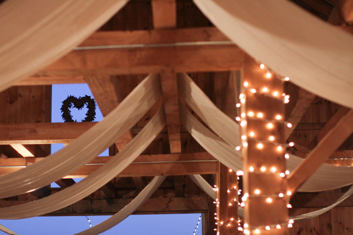 Photo courtesy of Olha Seniw